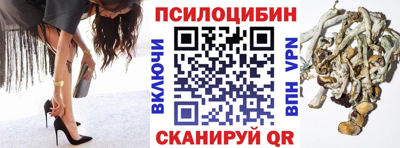 Купить  Краснознаменск  Псилоцибиновые грибы мицелий 